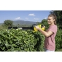 Аккумуляторный кусторез Karcher HGE 18-50 Battery (1.444-240.0) Без АКБ и ЗУ - 8