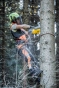 Пилка ланцюгова акумуляторна DeWALT DCMCST635N - 9