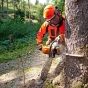 Бензопила Stihl MS 363 (MB012000093) - 4