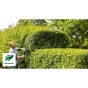 Кущоріз Bosch Advanced Hedge Cut 65 - 8