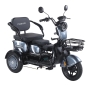 Трицикл аккумуляторный Forte Family-WN1060, серый - 3