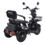 Трицикл аккумуляторный Forte Family-WN1060, черный - 6