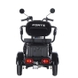 Трицикл аккумуляторный Forte Family-WN1060, черный - 7