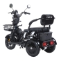 Трицикл аккумуляторный Forte Family-WN1060, черный - 2