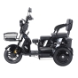 Трицикл аккумуляторный Forte Family-WN1060, черный - 3