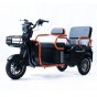 Трицикл аккумуляторный FORTE CARGO-P800 Черный - 1
