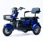 Трицикл акумуляторний FORTE Family-P1000 Синій - 1