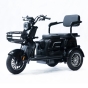 Трицикл аккумуляторный FORTE Family-P1000 Черный - 1