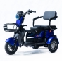 Трицикл аккумуляторный FORTE Family-P600 Синий - 1