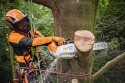Аккумуляторная пилка STIHL MSA 220 T (каркас) (MA012000027) - 4