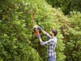 Кусторез электрический BLACK+DECKER BEHTS301 - 7