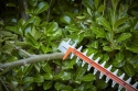 Кущоріз електричний BLACK+DECKER BEHTS551 - 2