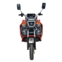 Вантажний електричний трицикл FORTE GP-1000-P Чорний - 3