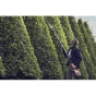 Аккумуляторные ножницы Husqvarna 520iHT4 (9679712-03) - 10