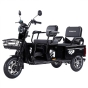 Трицикл аккумуляторный Forte CARGO-WN1072, черный - 1