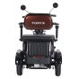 Трицикл аккумуляторный Forte Family-WN1072G Коричневый - 6