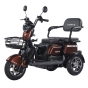 Трицикл аккумуляторный Forte Family-WN1072G Коричневый - 4