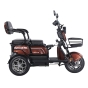 Трицикл аккумуляторный Forte Family-WN1072G Коричневый - 2