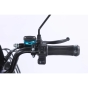 Трицикл аккумуляторный Forte Family-WN1072G Коричневый - 10
