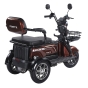 Трицикл аккумуляторный Forte Family-WN1072G Коричневый - 3
