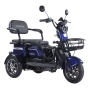 Трицикл аккумуляторный Forte Family-WN1072G Синий - 4