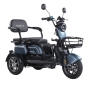 Трицикл аккумуляторный Forte Family-WN1072G Серый (163511) - 4
