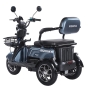 Трицикл аккумуляторный Forte Family-WN1072G Серый (163511) - 3