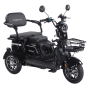 Трицикл аккумуляторный Forte Family-WN1072G Черный - 1