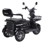 Трицикл аккумуляторный Forte Family-WN1072G Черный - 2