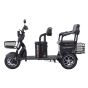 Трицикл аккумуляторный Forte TRANSIT-WN1072G Черный - 2