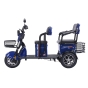 Трицикл аккумуляторный Forte TRANSIT-WN1072G Синий - 1