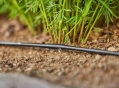 Шланг Gardena для мікрокапельного поливу, 4,6 мм (3/16"), 15 м (01362-20) - 4