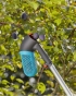 Плодознімач для ягід Gardena Combisystem Berry Picker (17400-20) - 3