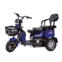 Трицикл аккумуляторный Forte FAMILY-WN600 синий - 1