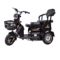 Трицикл аккумуляторный Forte FAMILY-WN600 черный - 1