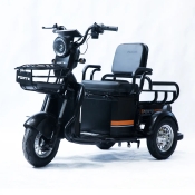 Трицикл аккумуляторный FORTE CARGO-P650 Черный Трицикл аккумуляторный FORTE CARGO-P650 Черный