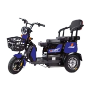 Трицикл аккумуляторный Forte FAMILY-WN800 синий Трицикл аккумуляторный Forte FAMILY-WN800 синий