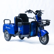 Трицикл аккумуляторный Forte CARGO-WN800 Синий Трицикл аккумуляторный Forte CARGO-WN800 Синий