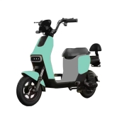 Велоскутер аккумуляторный FORTE FLY Зеленый