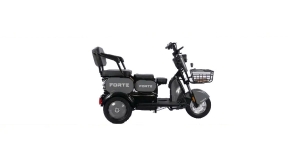 Трицикл акумуляторний Forte Family-WN1060, чорний