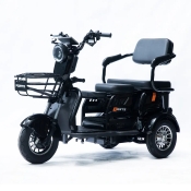 Трицикл аккумуляторный FORTE Family-P600 Черный