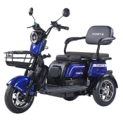 Трицикл аккумуляторный Forte Family-WN1072 Синий
