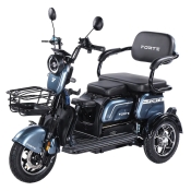 Трицикл аккумуляторный Forte Family-WN1072G Серый (163511)