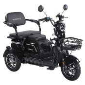 Трицикл аккумуляторный Forte Family-WN1072G Черный