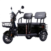 Трицикл аккумуляторный Forte TRANSIT-WN1072G Черный (163517)