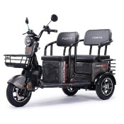 Трицикл аккумуляторный Forte TRANSIT-WN1072G Серый (162149)